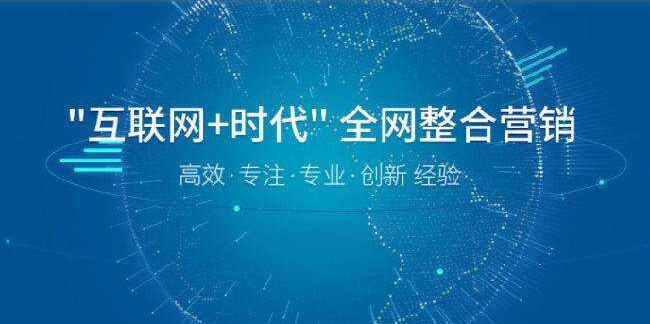 高端企業(yè)營銷型網(wǎng)站建設(shè)公司費用預(yù)算，成都網(wǎng)站建設(shè)